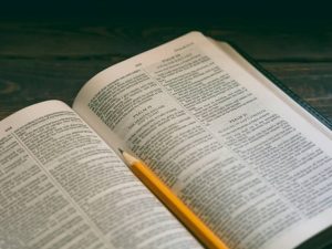 The Character of David - Courage in the valley
